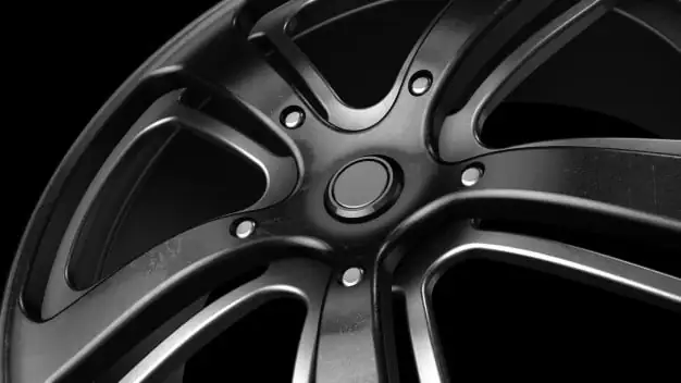 Rines Macrotires